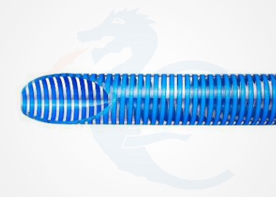 KM: Transparente com Espiral Azul